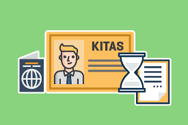 Kitas Visa