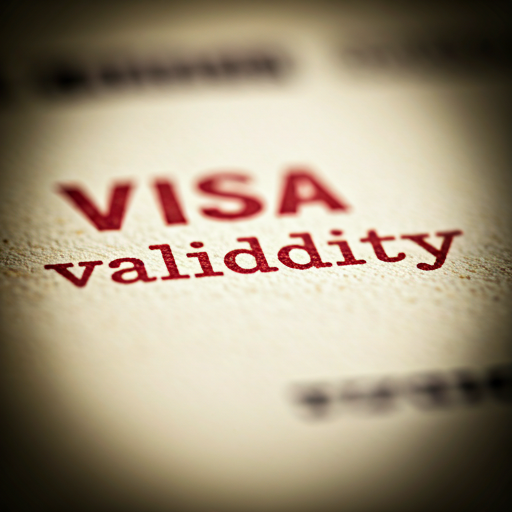 Visa Validity